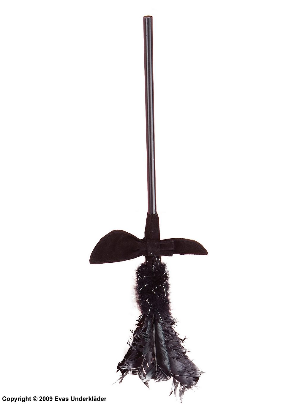Wtich's broom with feathers